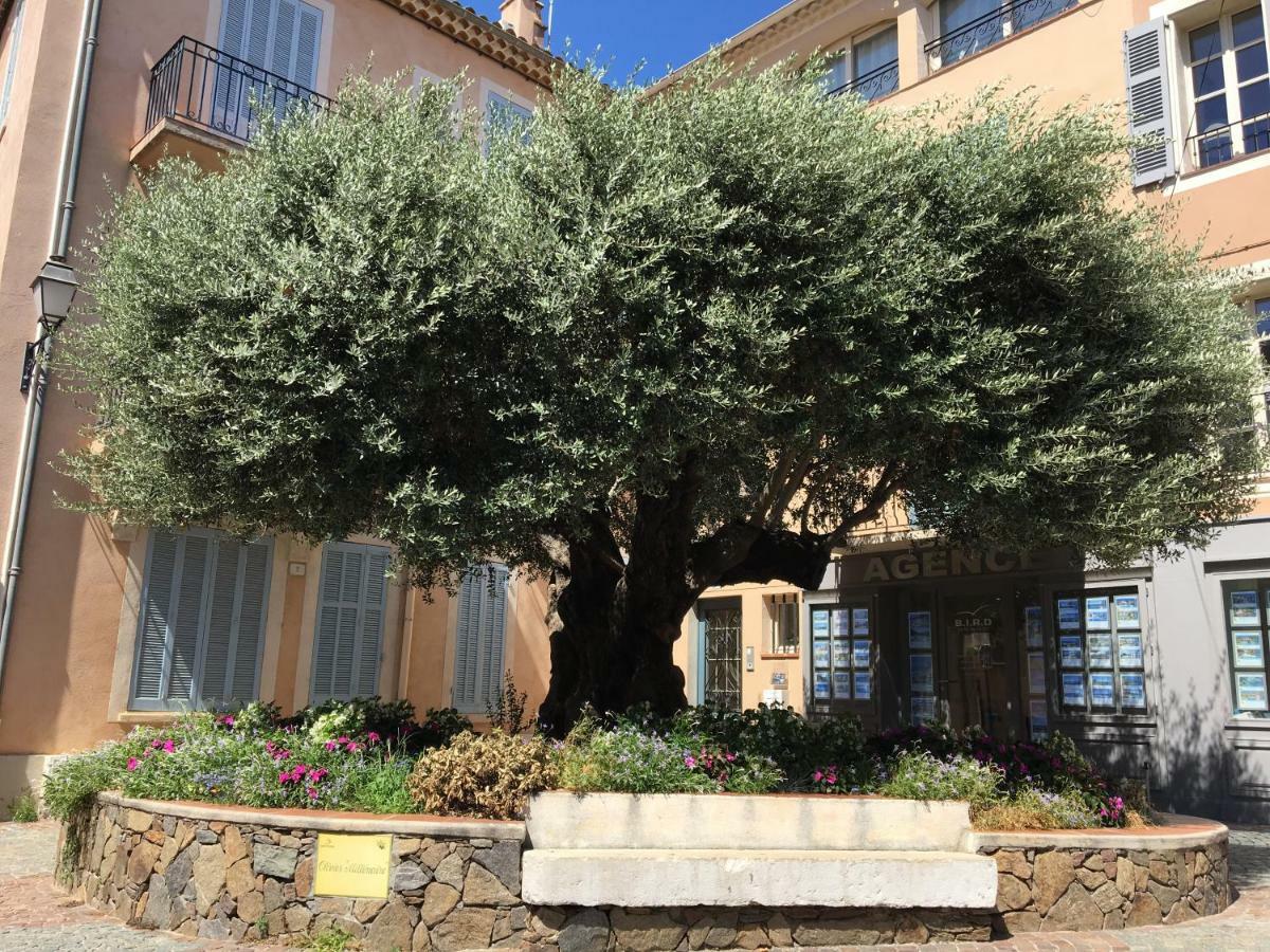 Bastide Du Levant Sainte-Maxime Luaran gambar